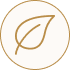 Clean & Trusted Ingredients